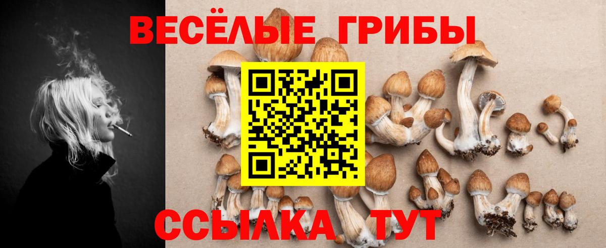 Анжеро-Судженск  Галлюциногенные грибы мухоморы  Вход с VPN  Галлюциногенные грибы мухоморы 